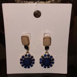 BEAUTIFUL NEW EARRINGS